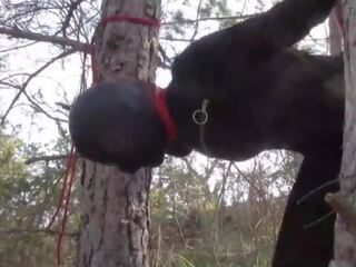 Tied up to a tree outdoor on voluptuous clothes&comma; wearing pantyhose and high ankle boots heels&comma; rough fuck