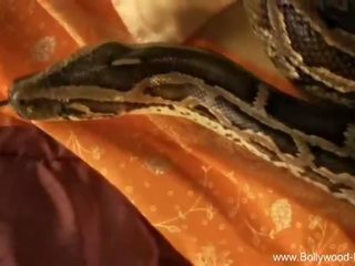 Bollywood nudi: piccola figlia canzonatura con serpente bollywood stile